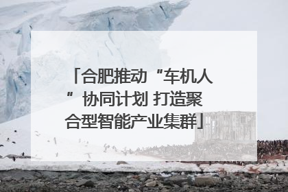 合肥推动“车机人”协同计划 打造聚合型智能产业集群