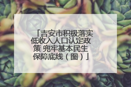吉安市积极落实低收入人口认定政策 兜牢基本民生保障底线（图）