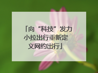 向“科技”发力 小拉出行重新定义网约出行