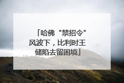 哈佛“禁招令”风波下，比利时王储陷去留困境