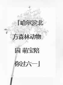 哈尔滨北方森林动物园 萌宝陪你过六一