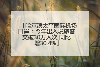 哈尔滨太平国际机场口岸：今年出入境旅客突破30万人次 同比增30.4%