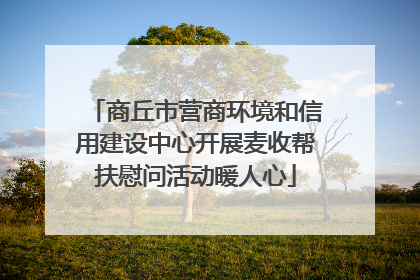 商丘市营商环境和信用建设中心开展麦收帮扶慰问活动暖人心