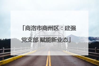 商洛市商州区：建强党支部 赋能新业态