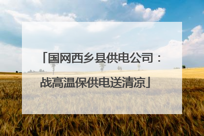 国网西乡县供电公司：战高温保供电送清凉