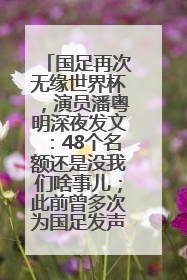 国足再次无缘世界杯，演员潘粤明深夜发文：48个名额还是没我们啥事儿；此前曾多次为国足发声