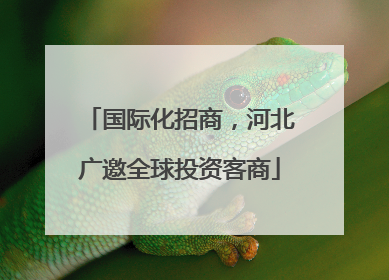 国际化招商，河北广邀全球投资客商