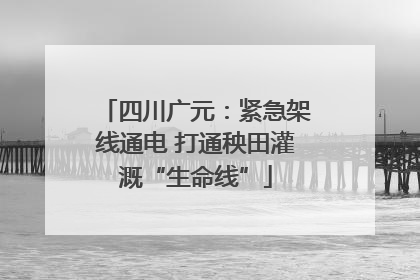 四川广元：紧急架线通电 打通秧田灌溉“生命线”