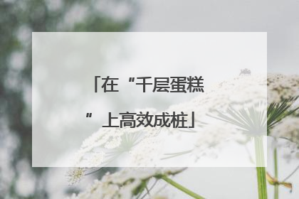 在“千层蛋糕”上高效成桩