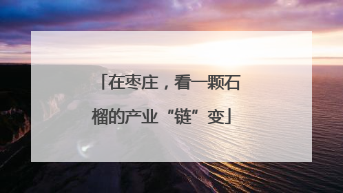 在枣庄，看一颗石榴的产业“链”变