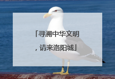 寻溯中华文明，请来洛阳城