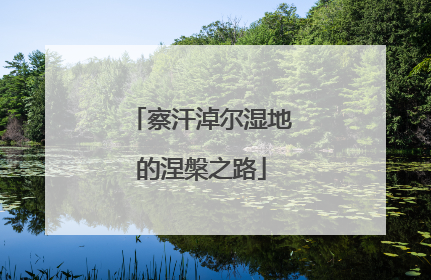 察汗淖尔湿地的涅槃之路