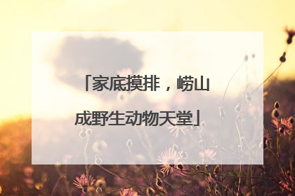 家底摸排，崂山成野生动物天堂