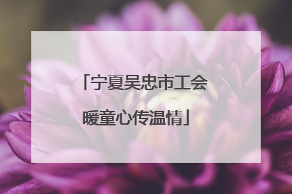 宁夏吴忠市工会暖童心传温情