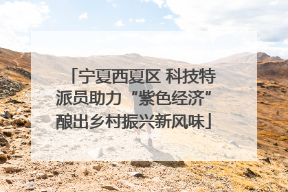 宁夏西夏区 科技特派员助力“紫色经济”酿出乡村振兴新风味