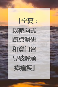 宁夏：以靶向式蹲点调研和登门督导破解顽瘴痼疾