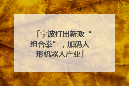 宁波打出新政“组合拳”，加码人形机器人产业
