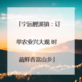 宁远鲤溪镇：订单农业兴大观 时蔬鲜香富山乡