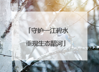 守护一江碧水 重现生态韶河