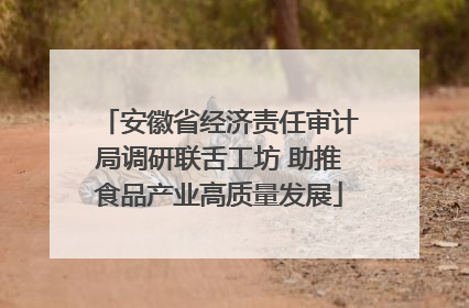 安徽省经济责任审计局调研联舌工坊 助推食品产业高质量发展