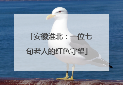 安徽淮北：一位七旬老人的红色守望