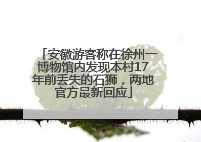 安徽游客称在徐州一博物馆内发现本村17年前丢失的石狮，两地官方最新回应