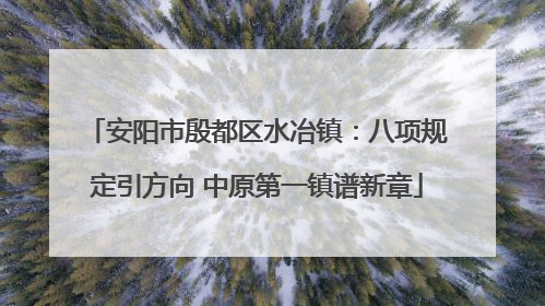 安阳市殷都区水冶镇：八项规定引方向 中原第一镇谱新章