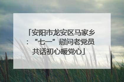 安阳市龙安区马家乡：“七一”慰问老党员 共话初心暖党心