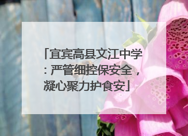 宜宾高县文江中学：严管细控保安全，凝心聚力护食安