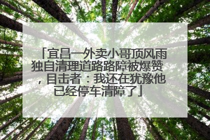 宜昌一外卖小哥顶风雨独自清理道路路障被爆赞，目击者：我还在犹豫他已经停车清障了