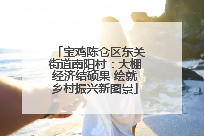 宝鸡陈仓区东关街道南阳村：大棚经济结硕果 绘就乡村振兴新图景