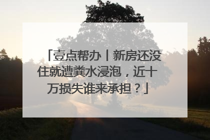 壹点帮办丨新房还没住就遭粪水浸泡，近十万损失谁来承担？