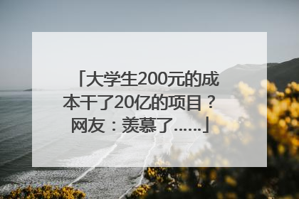 大学生200元的成本干了20亿的项目？网友：羡慕了……