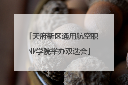 天府新区通用航空职业学院举办双选会