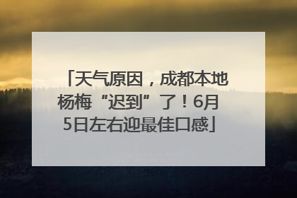 天气原因，成都本地杨梅“迟到”了！6月5日左右迎最佳口感