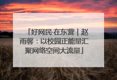 好网民·在东营｜赵雨馨：以校园正能量汇聚网络空间大流量
