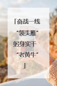 奋战一线“领头雁” 躬身实干“老黄牛”