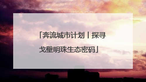 奔流城市计划丨探寻戈壁明珠生态密码