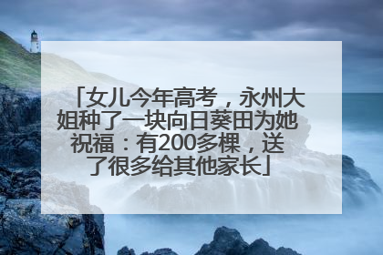 女儿今年高考，永州大姐种了一块向日葵田为她祝福：有200多棵，送了很多给其他家长