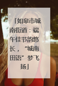 如皋市城南街道：端午佳节韵悠长，“城南田语”梦飞扬