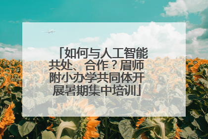 如何与人工智能共处、合作？眉师附小办学共同体开展暑期集中培训