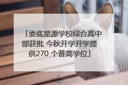 娄底星源学校综合高中部获批 今秋开学开学提供270 个普高学位