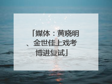 媒体：黄晓明、金世佳上戏考博进复试