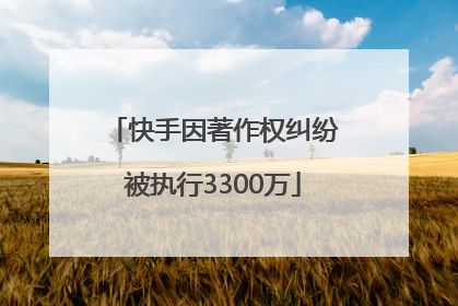 快手因著作权纠纷被执行3300万