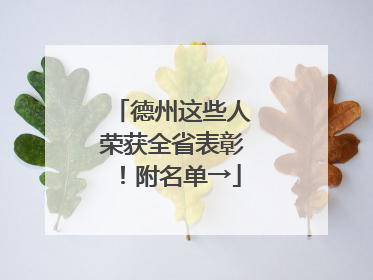 德州这些人荣获全省表彰！附名单→