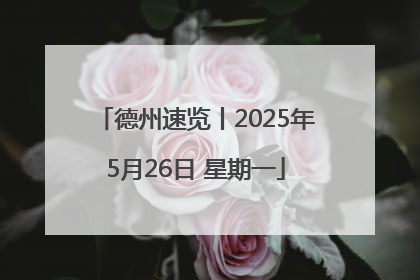 德州速览丨2025年5月26日 星期一