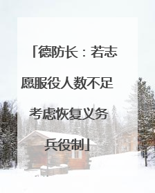 德防长：若志愿服役人数不足 考虑恢复义务兵役制
