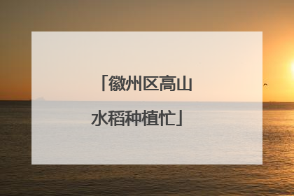 徽州区高山水稻种植忙