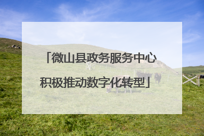 微山县政务服务中心积极推动数字化转型