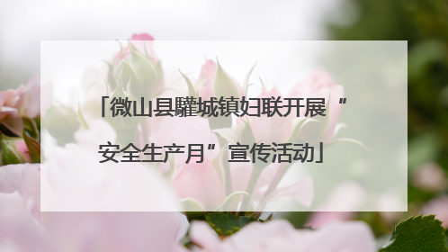 微山县驩城镇妇联开展“安全生产月”宣传活动